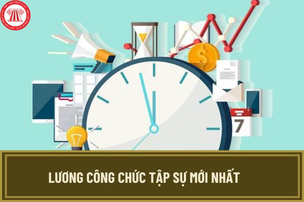 Lương công chức tập sự từ 17/9/2024 theo quy định mới tại Nghị định 116 được sửa đổi như thế nào?