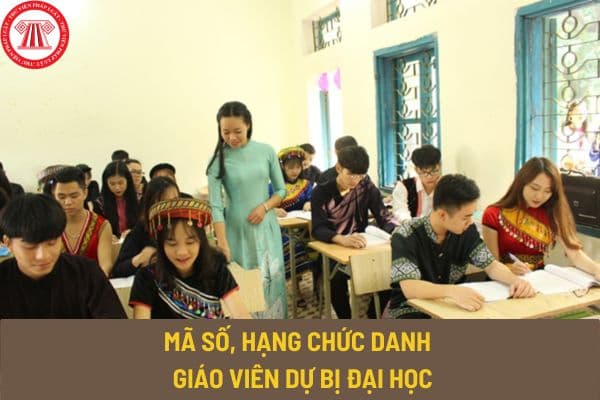 Mã số, hạng chức danh nghề nghiệp giáo viên dự bị đại học như thế nào? Hệ số lương giáo viên dự bị đại học ra sao?