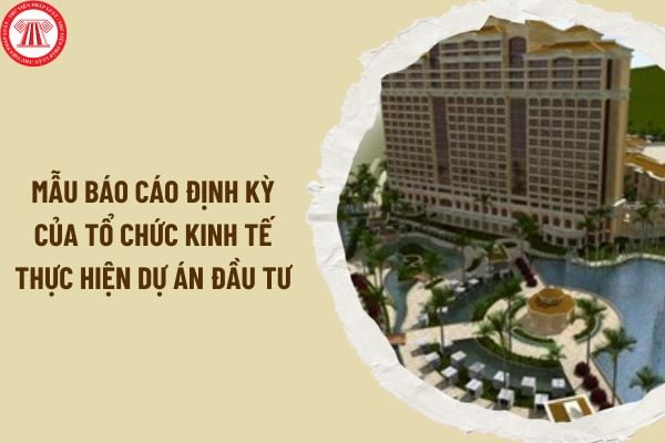 Tổng hợp mẫu báo cáo định kỳ của tổ chức kinh tế thực hiện dự án đầu tư mới nhất 2024? Tải mẫu báo cáo ở đâu?