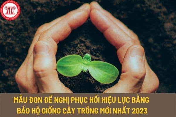 Mẫu đơn đề nghị phục hồi hiệu lực bằng bảo hộ giống cây trồng mới nhất 2023? Tải mẫu đơn về ở đâu?