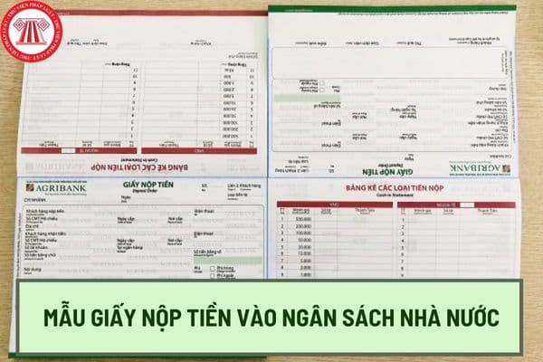 Mẫu giấy nộp tiền vào Ngân sách Nhà nước C1-02/NS mới nhất năm 2024 có dạng như thế nào? Hướng dẫn cách điền giấy nộp tiền vào Ngân sách Nhà nước?