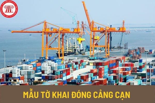 Mẫu tờ khai đóng cảng cạn có dạng như thế nào? Đổi tên cảng cạn phải đáp ứng các nguyên tắc như thế nào?