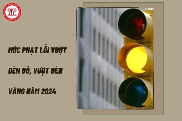 Mức phạt lỗi vượt đèn đỏ, vượt đèn vàng năm 2024? Các loại xe nào vượt đèn đỏ không bị CSGT xử phạt?
