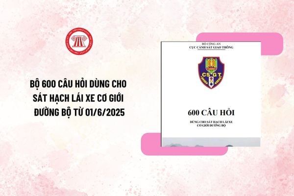 Pháp luật