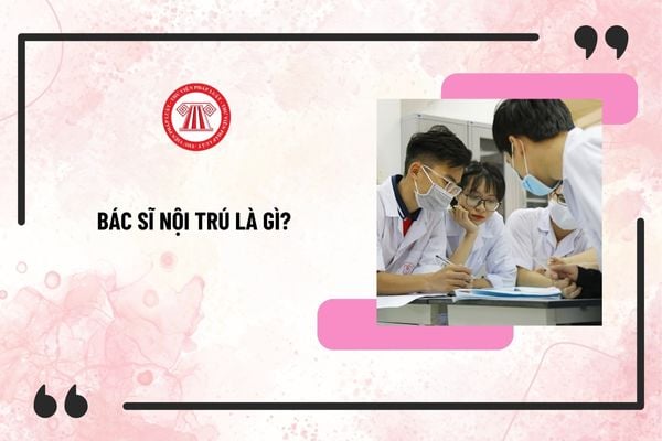 Pháp luật