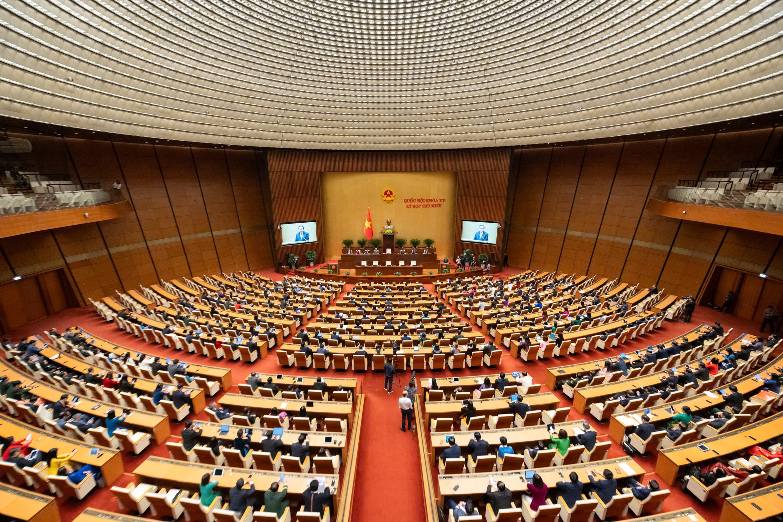 Pháp luật