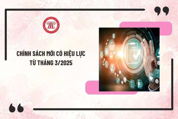 Chính sách mới có hiệu lực từ tháng 3/2025 đáng chú ý? 2 Luật mới có hiệu lực từ 1/3/2025?