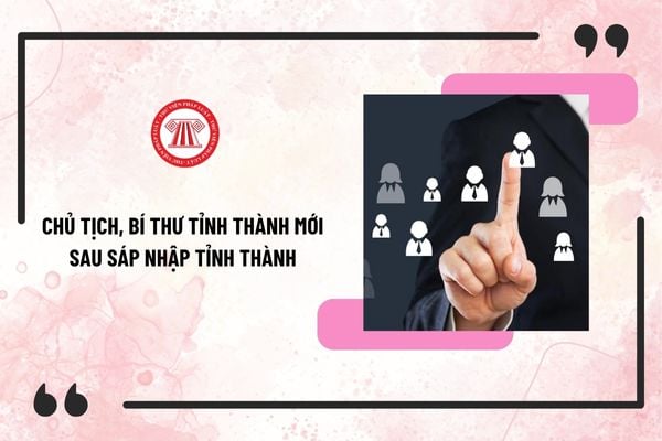 Pháp luật