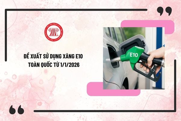 Pháp luật