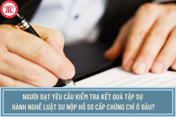 Pháp luật