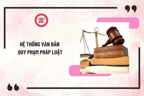 Hệ thống văn bản quy phạm pháp luật mới nhất 2025? Thời điểm có hiệu lực của VBQPPL là khi nào?