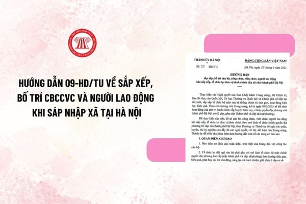 Pháp luật
