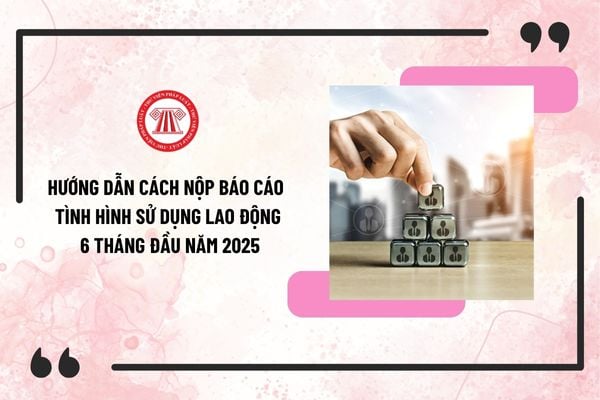 Pháp luật