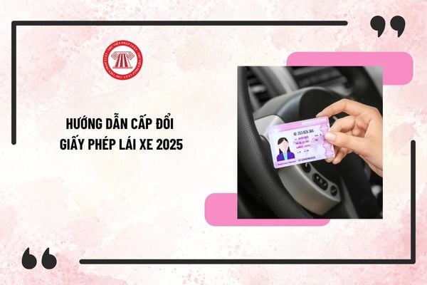 Hướng dẫn cấp đổi Giấy phép lái xe mới nhất 2025? Thủ tục cấp đổi GPLX trực tiếp, online từ 1/3/2025?