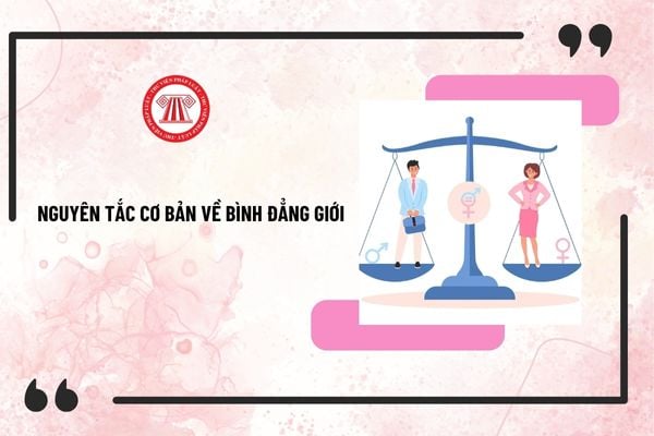 Pháp luật