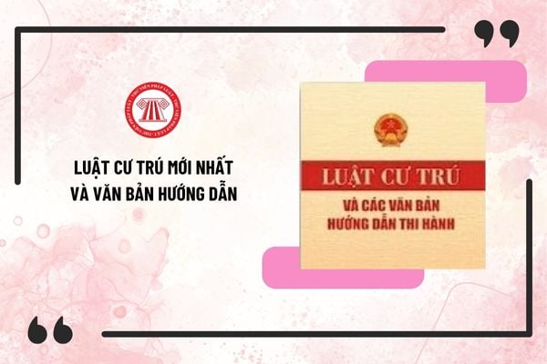 Pháp luật