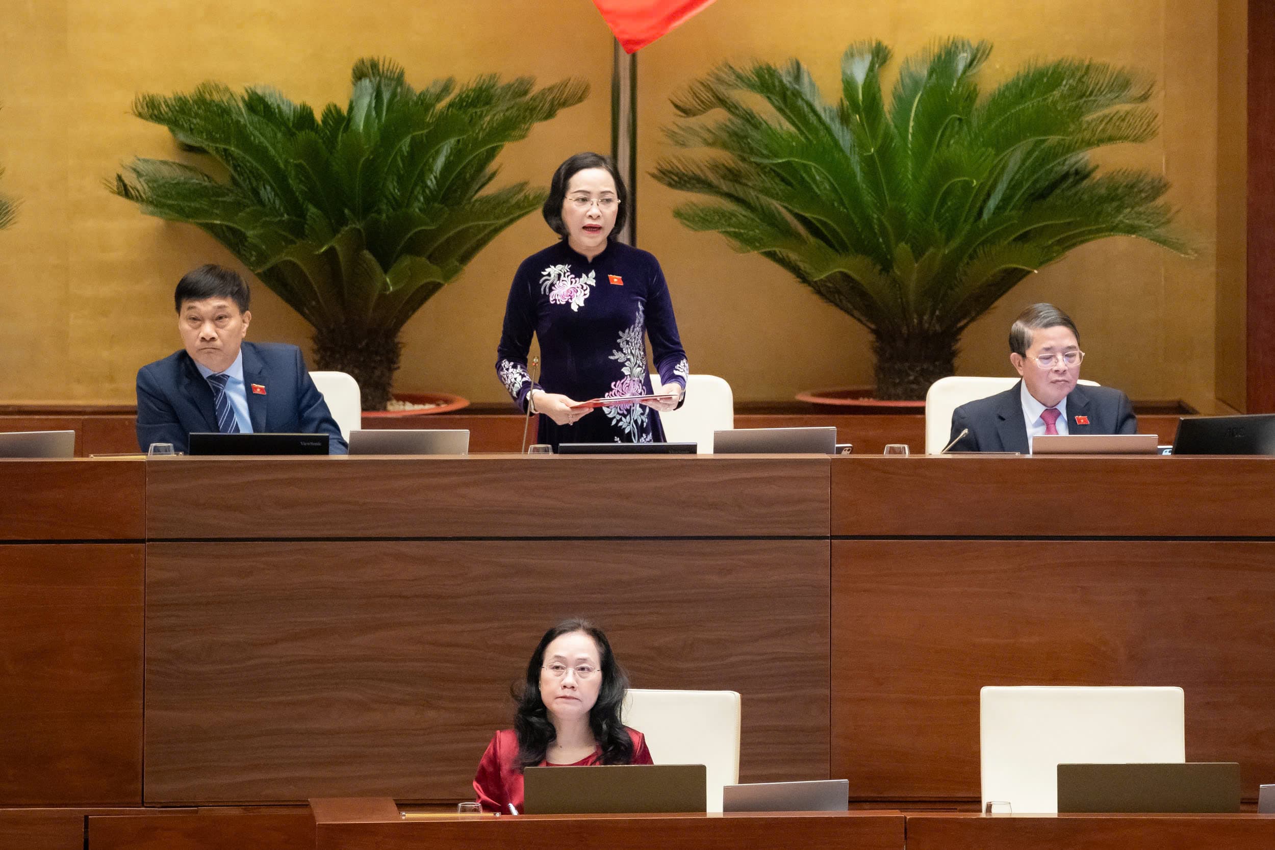 Pháp luật