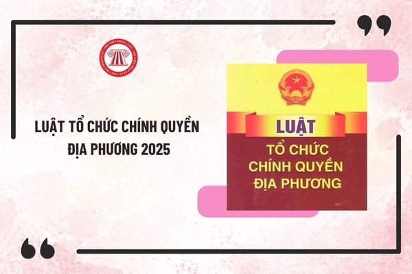 Toàn văn Luật tổ chức chính quyền địa phương 2025 mới nhất? Chính thức giữ nguyên HĐND cấp quận phường?