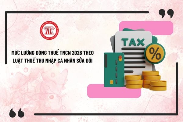 Pháp luật