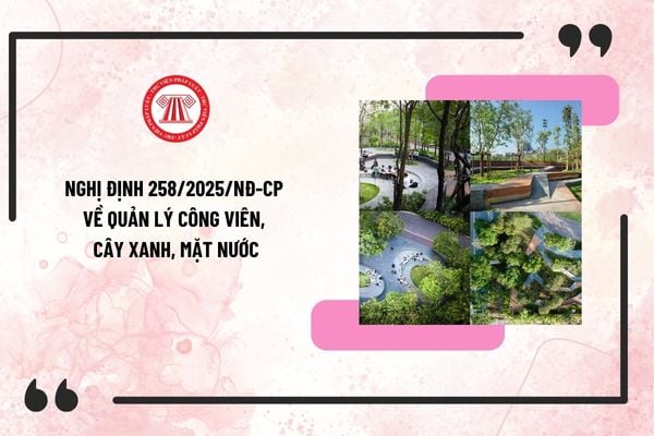 Pháp luật