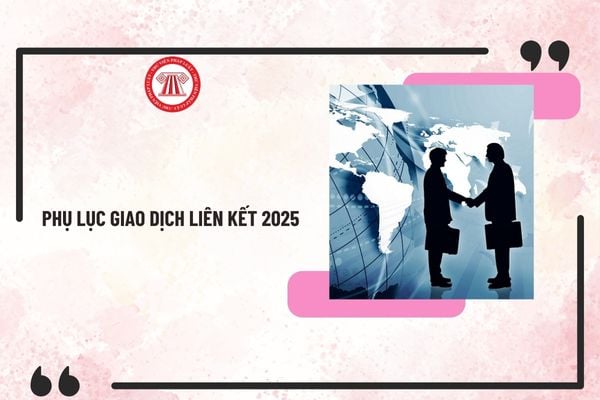 Phụ lục giao dịch liên kết 2025 theo Nghị định 132? Hướng dẫn kê khai Phụ lục giao dịch liên kết mới nhất 2025?