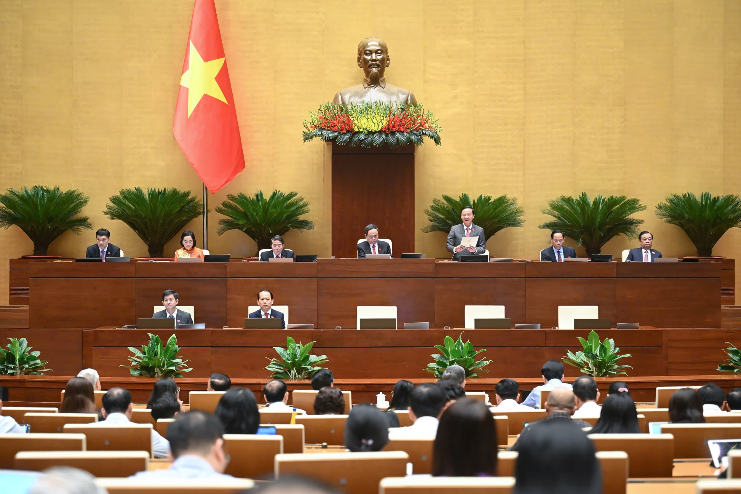 Pháp luật