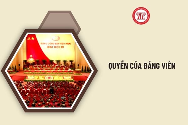 Quyền của Đảng viên mới nhất 2025? Giới thiệu và kết nạp người vào Đảng theo Quy định 232 như thế nào?