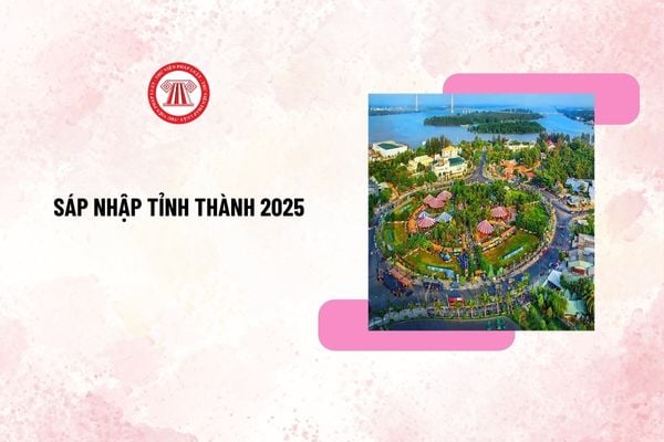 Pháp luật