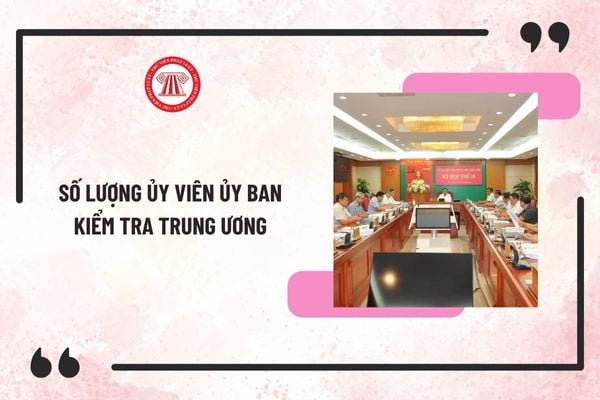 Số lượng Ủy viên ủy ban kiểm tra Trung ương mới nhất 2025? Tăng số lượng Ủy viên UBKT Trung ương theo Quy định 262?