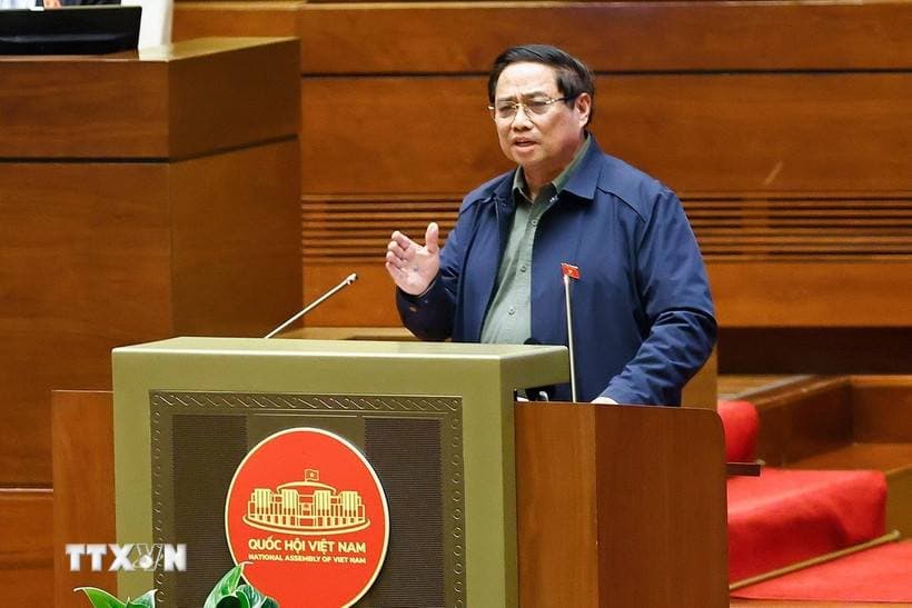 Pháp luật
