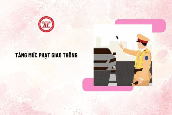 Pháp luật