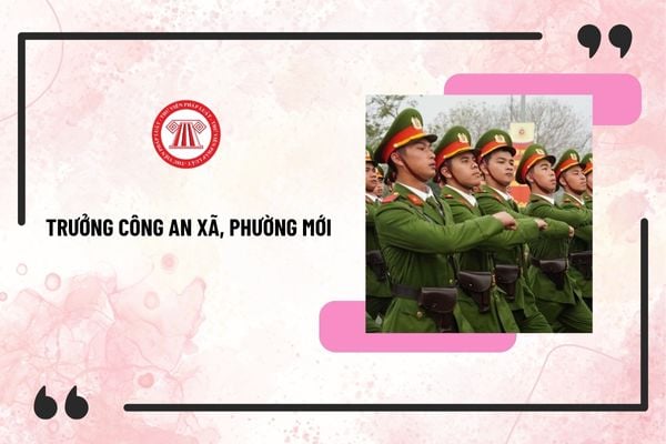 Pháp luật