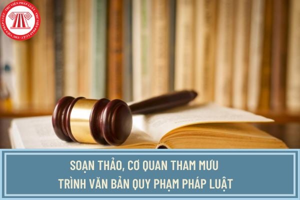 Pháp luật