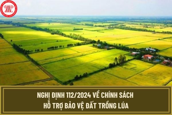 Nghị định 112 2024 về chính sách hỗ trợ bảo vệ đất trồng lúa?