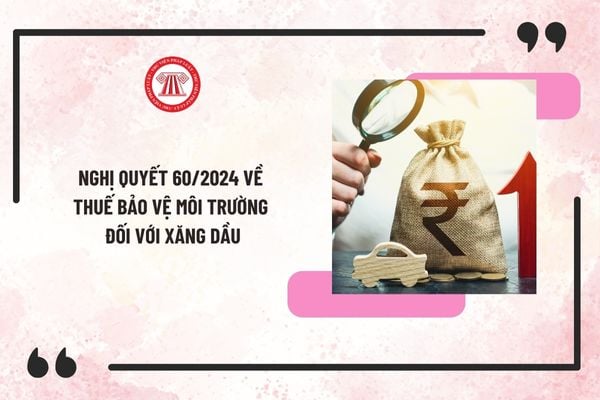 Nghị quyết 60/2024 về thuế bảo vệ môi trường đối với xăng dầu? Tiếp tục giảm 50% thuế BVMT đối với xăng dầu trong năm 2025?