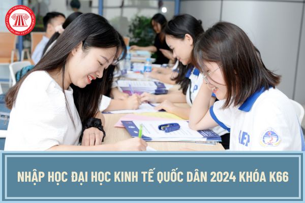 Hướng dẫn nhập học Đại học Kinh tế Quốc dân 2024 khóa K66? Thí sinh trúng tuyển nhập học thế nào?