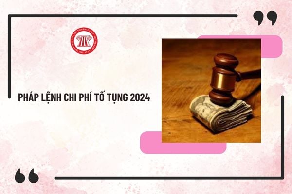 Chính thức có Lệnh công bố Pháp lệnh Chi phí tố tụng 2024? Chi phí tố tụng theo các luật chuyên ngành thế nào?