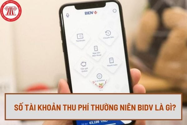 Số tài khoản thu phí thường niên BIDV là gì? Cách tra cứu số tài khoản thu phí thường niên BIDV nhanh nhất?