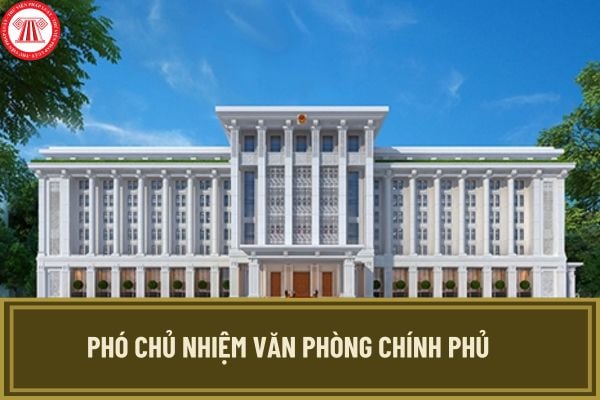 Phó Chủ nhiệm Văn phòng Chính phủ được phân công công tác như thế nào? Phân công công tác theo nguyên tắc ra sao?