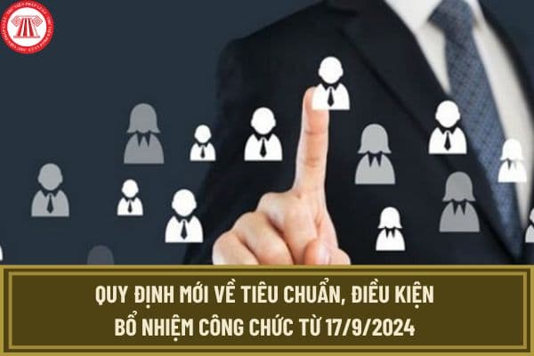 Quy định mới về tiêu chuẩn, điều kiện bổ nhiệm công chức từ 17/9/2024 theo Nghị định 116 thế nào?