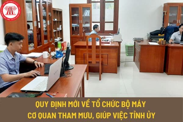 Quy định 137-QĐ/TW, quy định mới về tổ chức bộ máy cơ quan tham mưu, giúp việc tỉnh ủy thế nào?