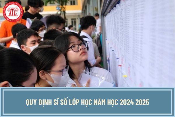 Quy định sĩ số lớp học năm học 2024 2025 thế nào? Sĩ số lớp tiểu học năm học 2024 2025 không quá 35 học sinh đúng không?