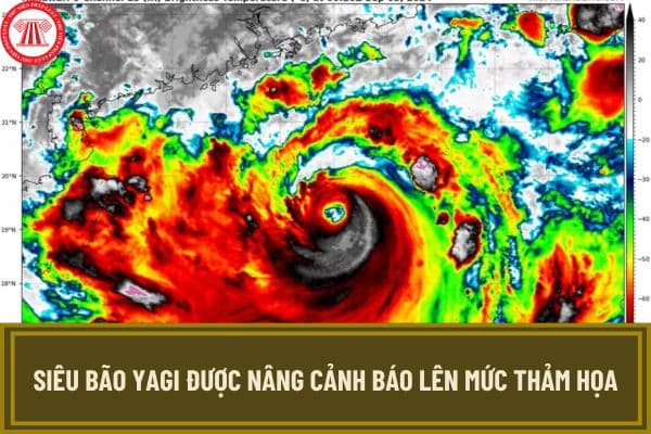 Siêu bão Yagi được nâng cảnh báo lên mức thảm họa khi nào? Tin bão Yagi mới nhất như thế nào?