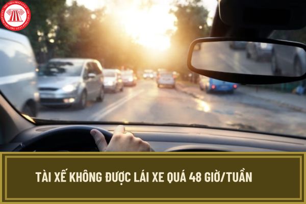 Tài xế không được lái xe quá 48 giờ/tuần từ 01/01/2025? Thời gian lái xe của người lái xe ô tô từ 01/01/2025 thế nào?