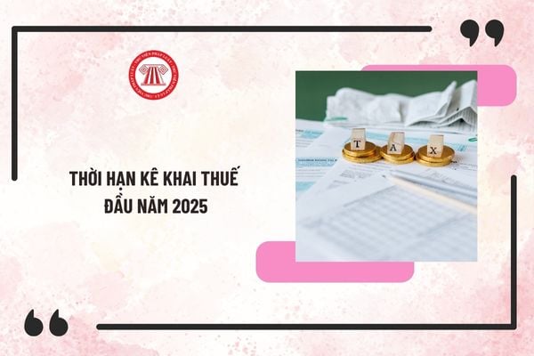 Thời hạn kê khai thuế đầu năm 2025 cần biết và nắm rõ? Lưu ý về thời gian kê khai thuế đầu năm 2025?