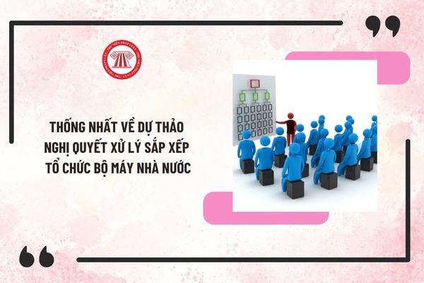 Thống nhất về dự thảo Nghị quyết xử lý sắp xếp tổ chức bộ máy nhà nước tại Nghị quyết 15/NQ-CP?