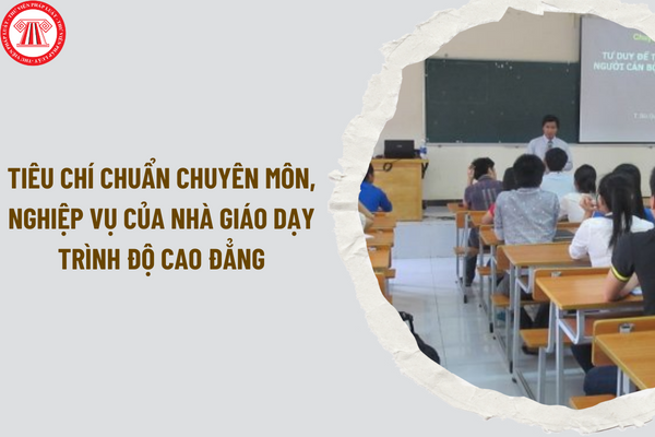 5 tiêu chí chuẩn chuyên môn, nghiệp vụ của nhà giáo dạy trình độ cao đẳng mới theo Thông tư 05/2024/TT-BLĐTBXH thế nào?