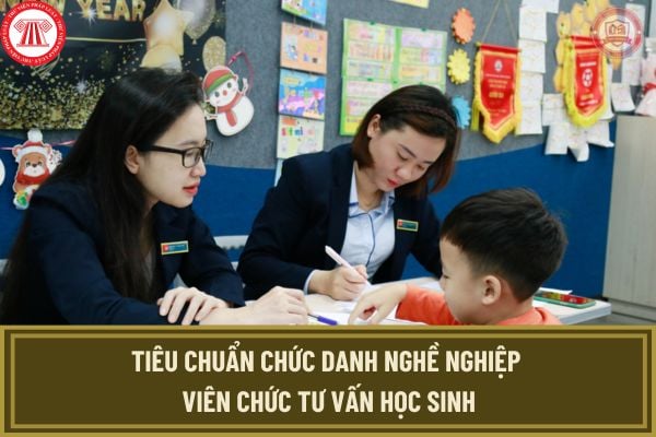 Tiêu chuẩn chức danh nghề nghiệp viên chức tư vấn học sinh từ 4/11/2024 theo Thông tư 11 như thế nào?