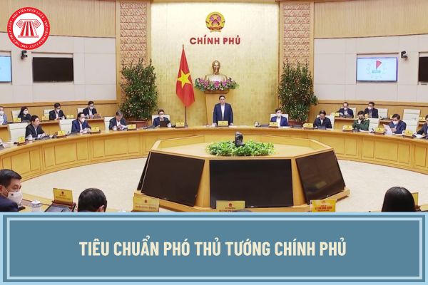 Tiêu chuẩn Phó Thủ tướng Chính phủ theo Quy định 214-QĐ/TW ra sao? Phó Thủ tướng Chính Phủ cần đáp ứng tiêu chuẩn gì?