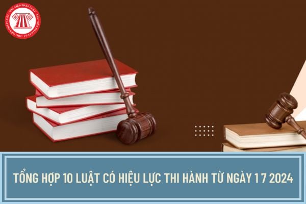 Tổng hợp 10 Luật có hiệu lực thi hành từ ngày 1 7 2024? Tóm tắt những quy định nội bật của 10 Luật có hiệu lực từ ngày 1 7 2024?